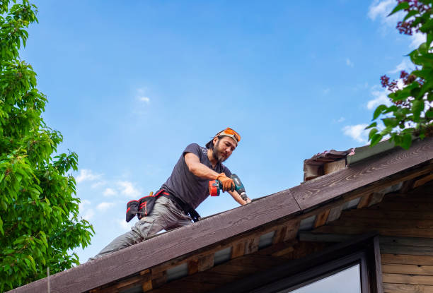 Best Roof Coating and Sealing  in Steelville, MO